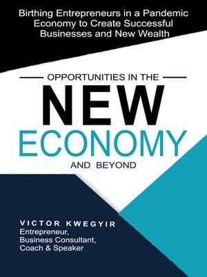 cover image of Opportunities in the New Economy and beyond